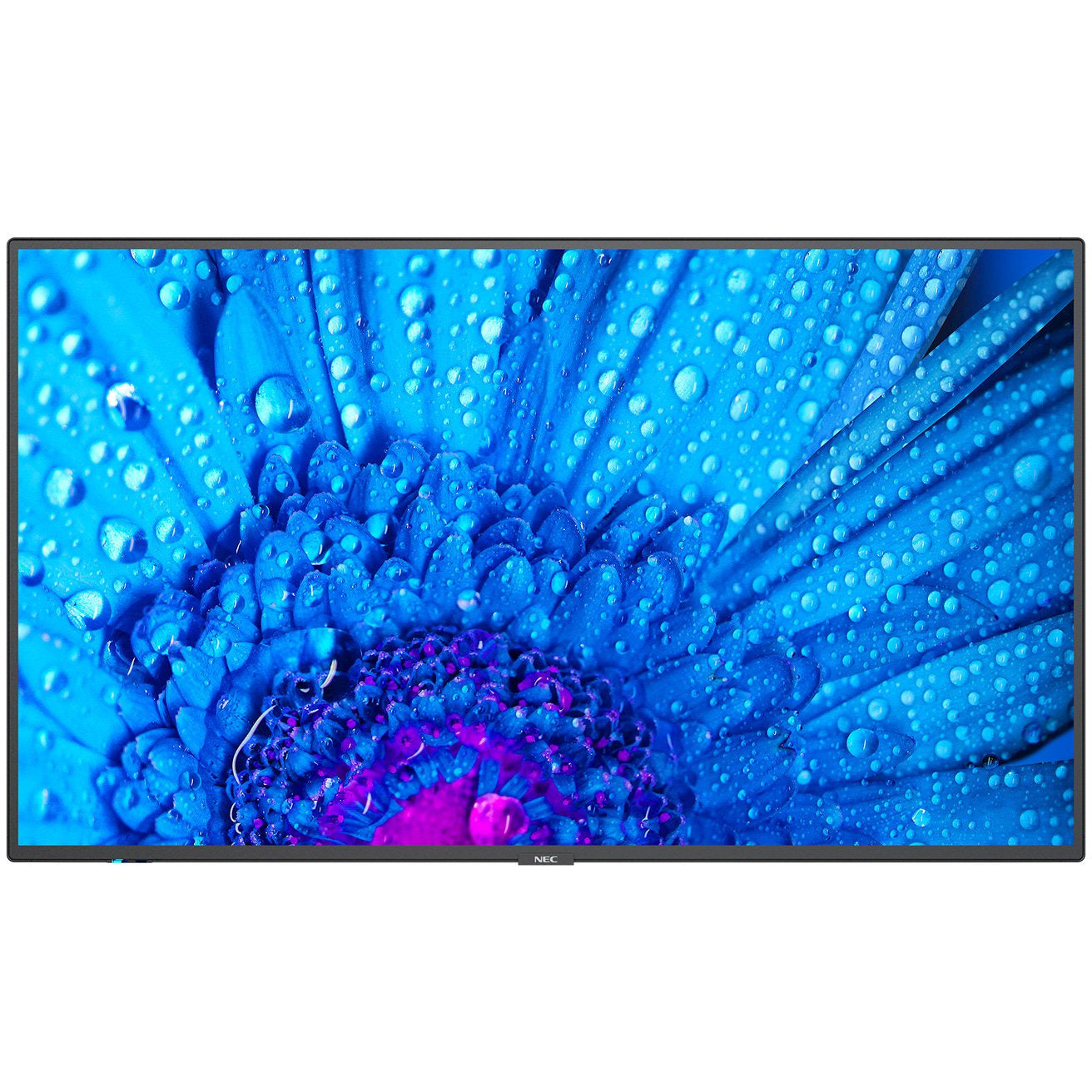 Dodger Blue NEC MultiSync® M551 LCD 55" Message Large Format Display