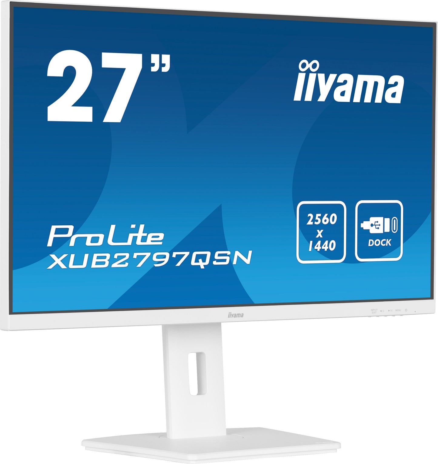 Dark Cyan iiyama ProLite XUB2497HSN-B1 24" LED Full HD Display with USB-C & RJ45 (LAN) in White