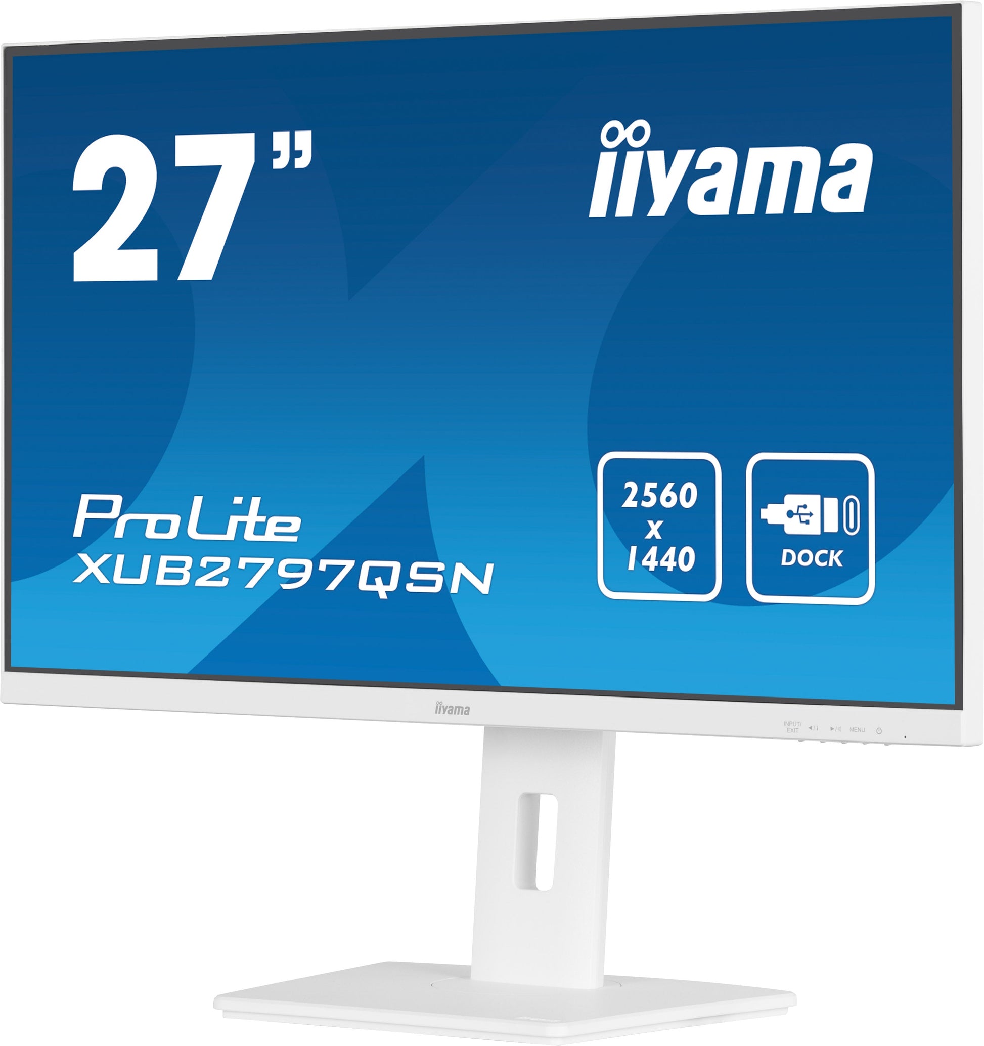 Dark Cyan iiyama ProLite XUB2497HSN-B1 24" LED Full HD Display with USB-C & RJ45 (LAN) in White