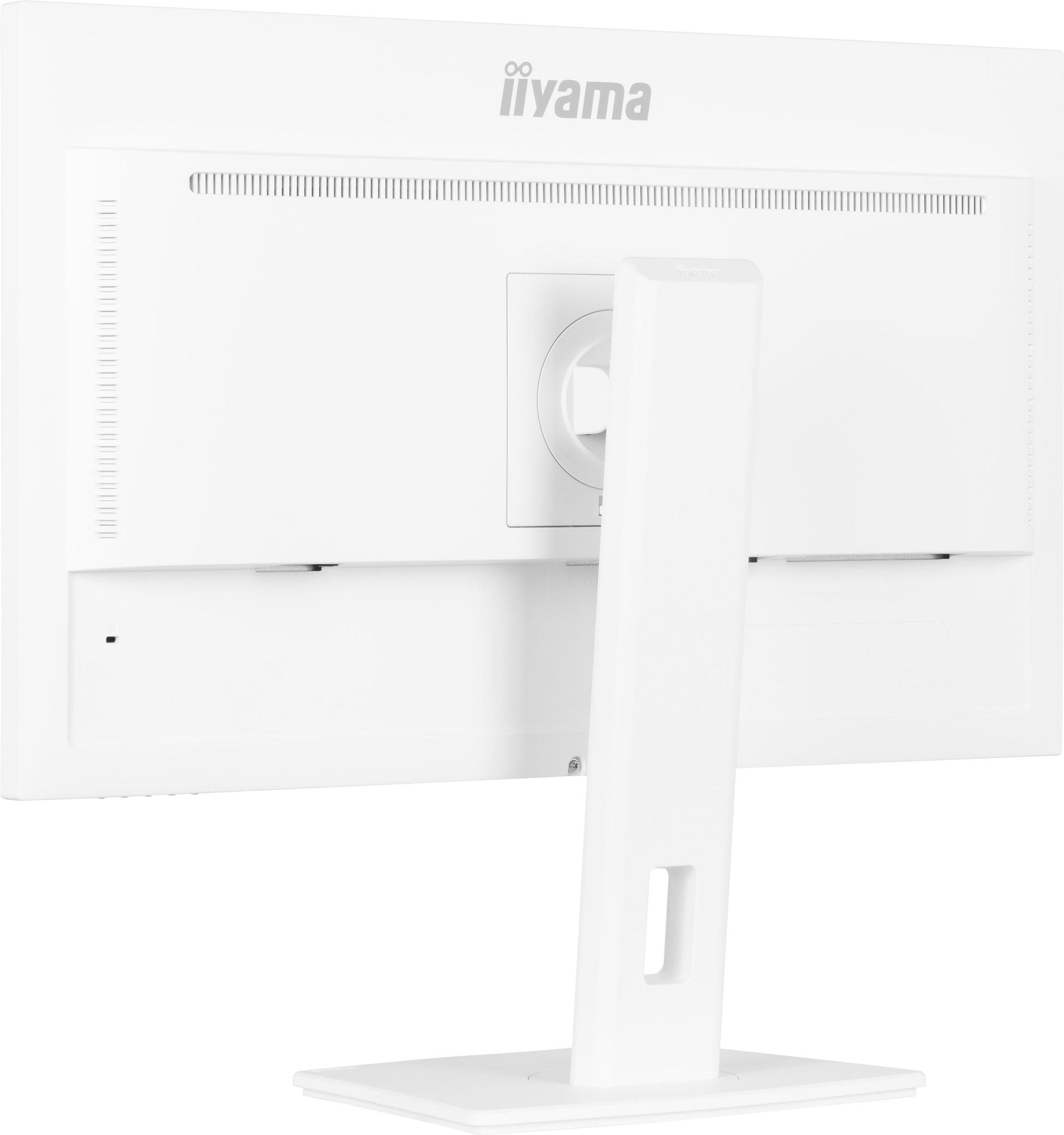 White Smoke iiyama ProLite XUB2497HSN-B1 24" LED Full HD Display with USB-C & RJ45 (LAN) in White