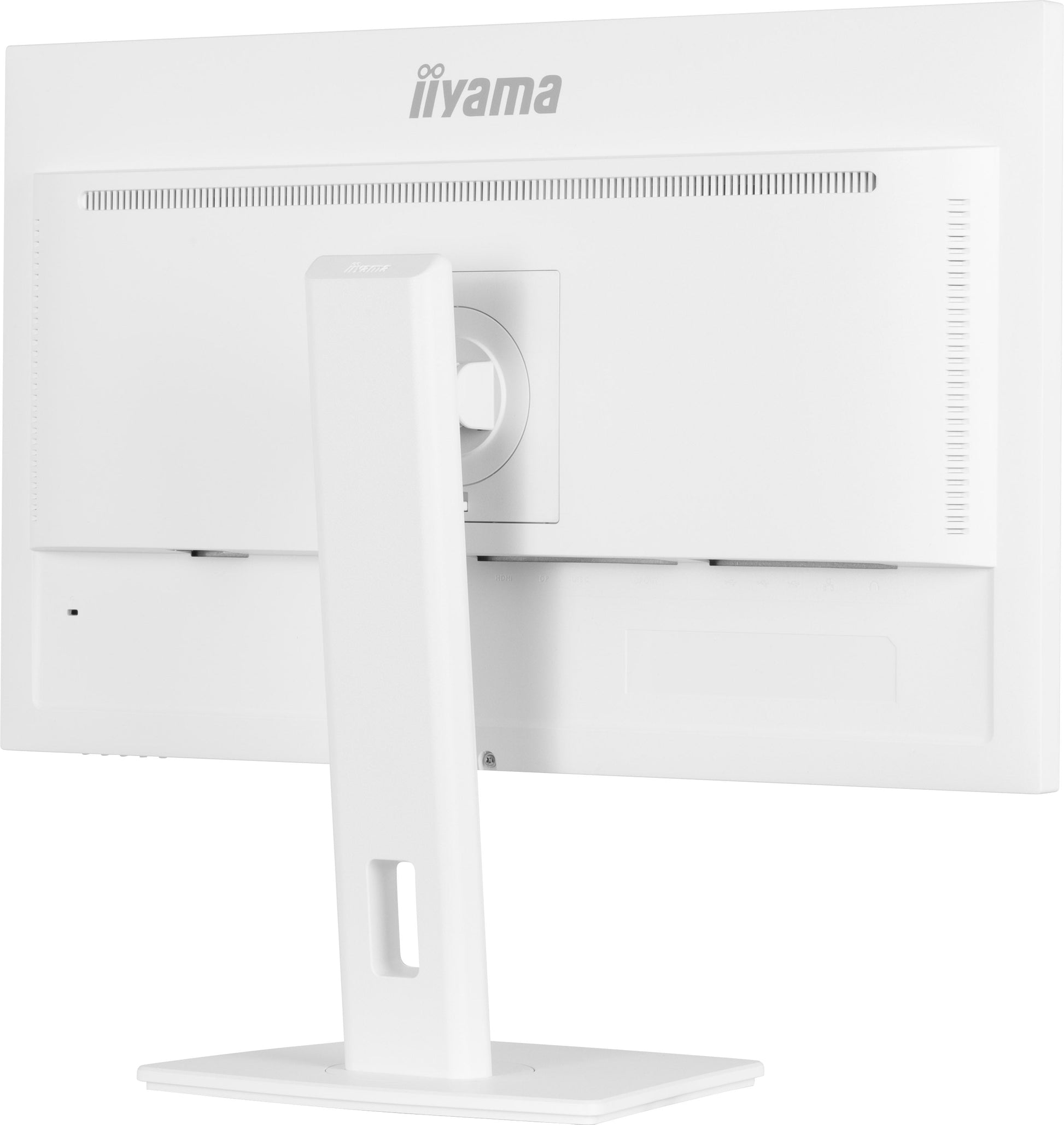 Lavender iiyama ProLite XUB2497HSN-B1 24" LED Full HD Display with USB-C & RJ45 (LAN) in White